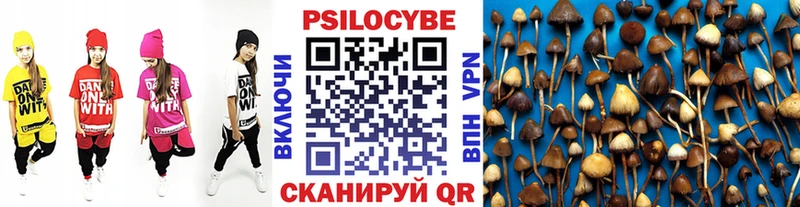 Псилоцибиновые грибы мухоморы Краснослободск